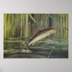 魚 – ブラウントラウト – Salmo trutta ポスター