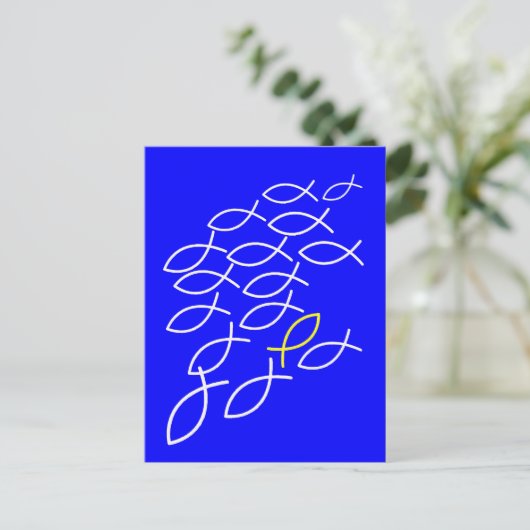 魚 ポストカード (スタンド正面)