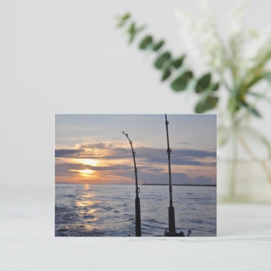 魚! ポストカード (スタンド正面)