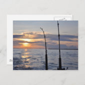 魚! ポストカード (正面/裏面)