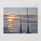 魚! ポストカード (正面)