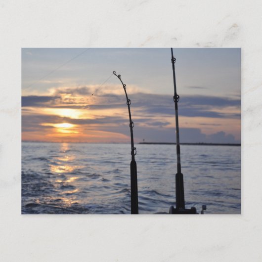 魚! ポストカード (正面)