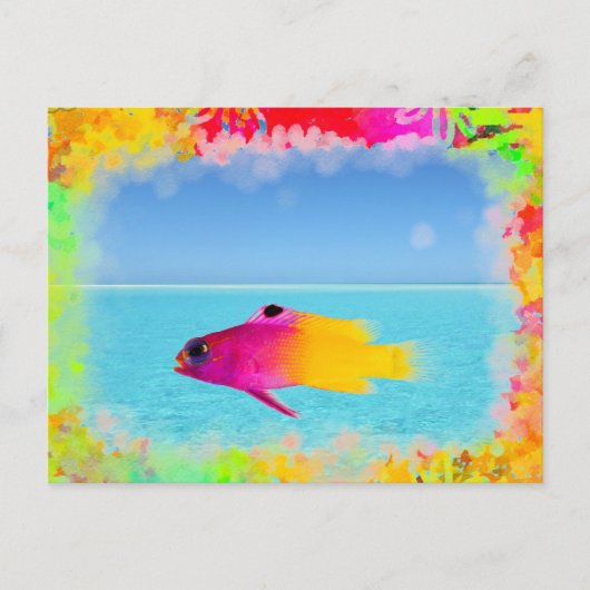 魚 ポストカード (正面)
