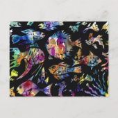 魚 ポストカード (正面)