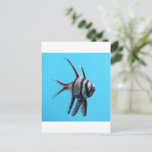 魚 ポストカード (スタンド正面)