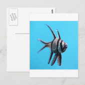 魚 ポストカード (正面/裏面)