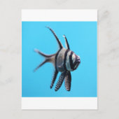 魚 ポストカード (正面)