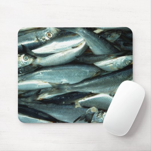 魚 マウスパッド (マウス)