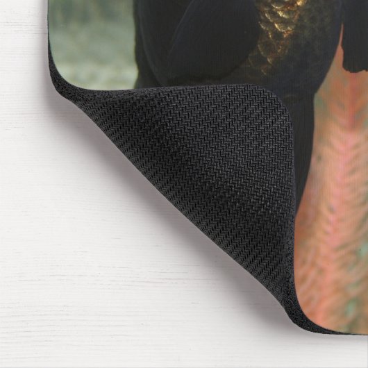 魚 マウスパッド (コーナー)