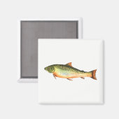 魚 マグネット (正面/裏面)