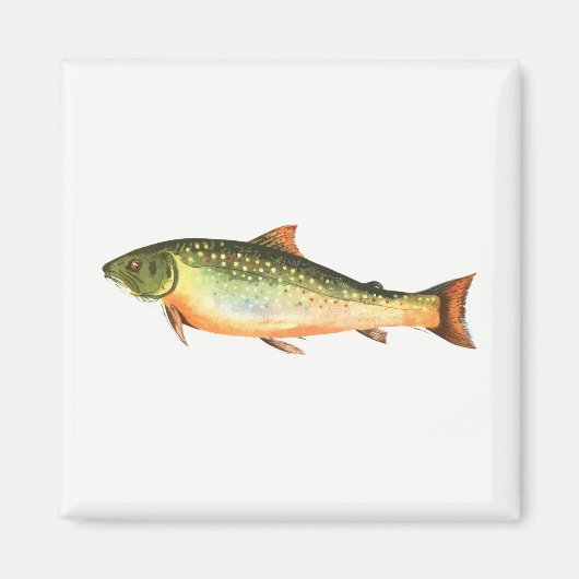 魚 マグネット (正面)