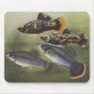 魚-モリー-ポエチリア蝶形骨 マウスパッド