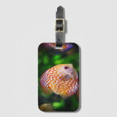 魚  ラゲッジタグ (正面縦)