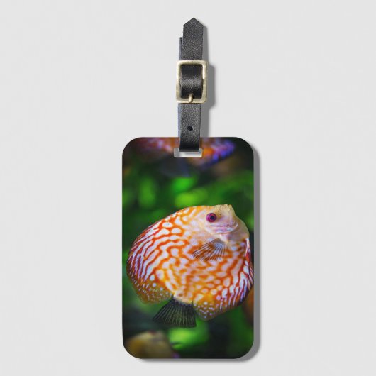 魚  ラゲッジタグ (正面縦)