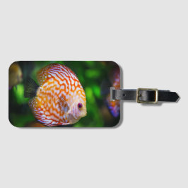 魚  ラゲッジタグ