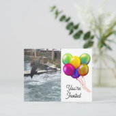 魚 招待状 (スタンド正面)