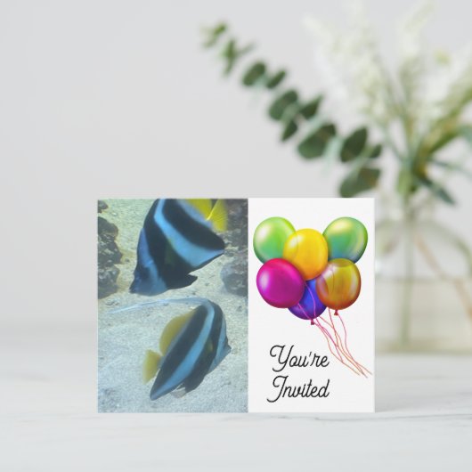 魚 招待状 (スタンド正面)