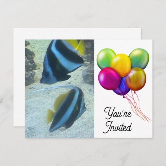 魚 招待状 (正面/裏面)