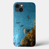 魚、水中、サンゴ Case-Mate iPhoneケース (裏面)