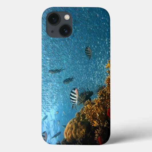 魚、水中、サンゴ Case-Mate iPhoneケース (裏面)