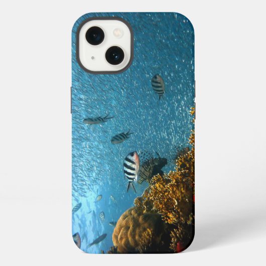 魚、水中、サンゴ iPhoneケース (裏面)