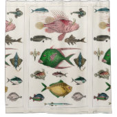 魚，海，かわいい，海，水，動物，魚釣り シャワーカーテン (正面)