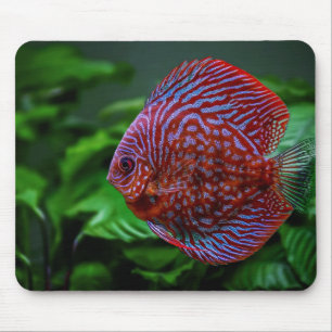 魚，溝，水 マウスパッド
