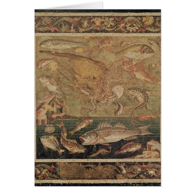 魚、軟体動物および甲殻類 (正面)