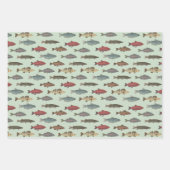 魚 釣り ラッピングペーパーシート (正面3)