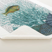 魚、青貝及びサンゴ シェルパブランケット (3/4)