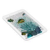 魚、青貝及びサンゴ マグネット (右側)