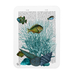 魚、青貝、サンゴ マグネット