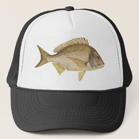 魚-黒いBream - australis Mylio キャップ (正面)