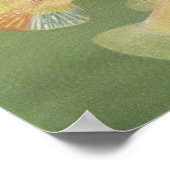 魚 – Albino Molies - Poecilia latipinna P/folio ポスター (角)