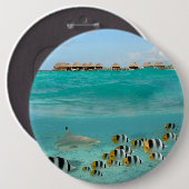 魚、Bora Boraの礁湖ボタンを追跡している鮫 缶バッジ (正面&裏面)