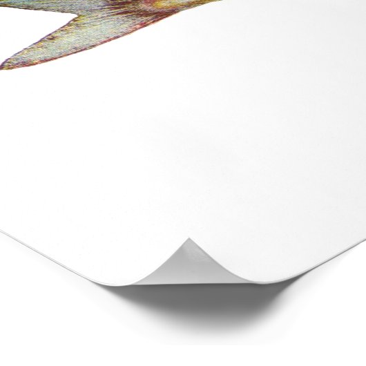 魚 – Garfish - Hyporhamphus intermedius ポスター (角)