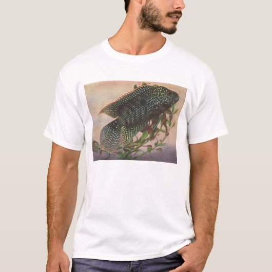 魚 – Jack Dempsey - Archocenturus octofasciatus Tシャツ (正面)