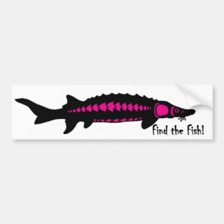 魚、PINK2を見つけて下さい バンパーステッカー
