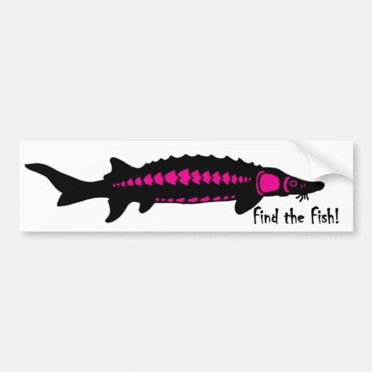 魚、PINK2を見つけて下さい バンパーステッカー (正面)