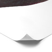 魚 – Qld。ラングフィッシュ – フォルステリ菌 ポスター (角)