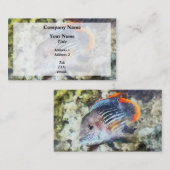 魚 – Rainbowfish 名刺 (正面/裏面)