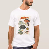 魚 Tシャツ (正面)