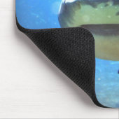 鮫のマウスパッド マウスパッド (コーナー)