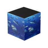 鮫の写真の立方体 フォトキューブ (裏面アングル)