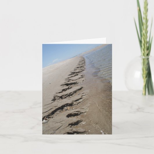 鮫の島のノースカロライナの外銀行 カード (正面)