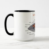 鮫の解剖学 マグカップ (左)