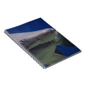 鮫の顔 ノートブック (右側)