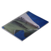 鮫の顔 ノートブック (左側)