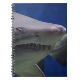 鮫の顔 ノートブック