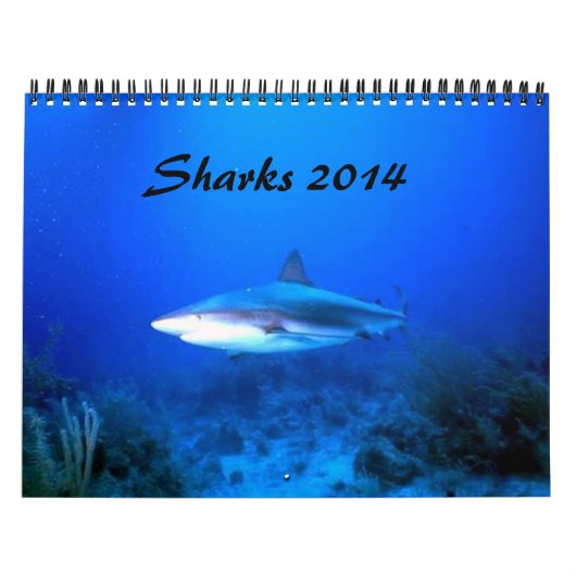鮫は2014年をカレンダーに記録します カレンダー (カバー)